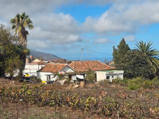 Finca rústica en Calle león 17. Espectacular finca en venta en el valle de la orotava,zona la fa