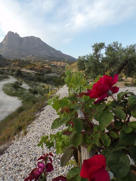 Foto 64523b92-186b-470b-84d8-e0e351f84e34. Chalet in cv759 km 6 in balcón de Finestrat-terra marina Finestrat