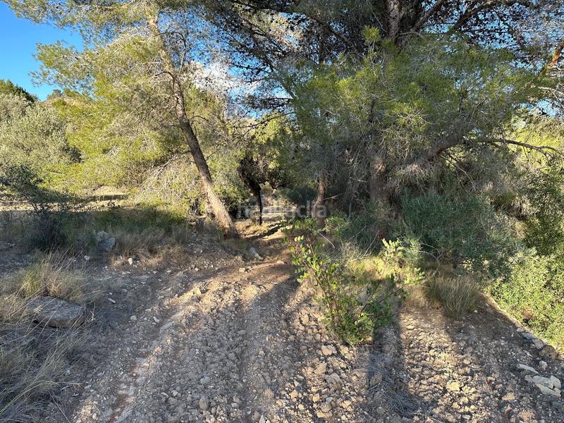 Foto 3d70671f-20a9-47c0-8a3c-9762ec9c4204. Finca rústica a cremats a Finestrat pueblo Finestrat