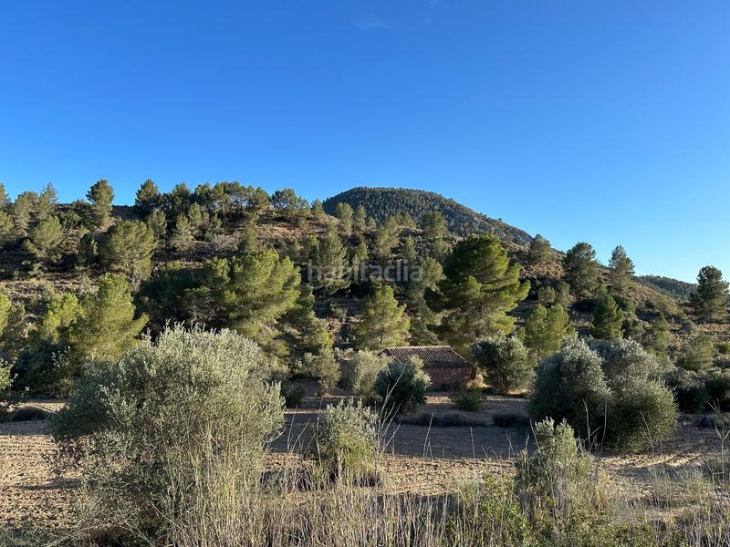 Foto 46102b7c-a023-4d6e-842b-36c7907dad97. Finca rústica a cremats a Finestrat pueblo Finestrat