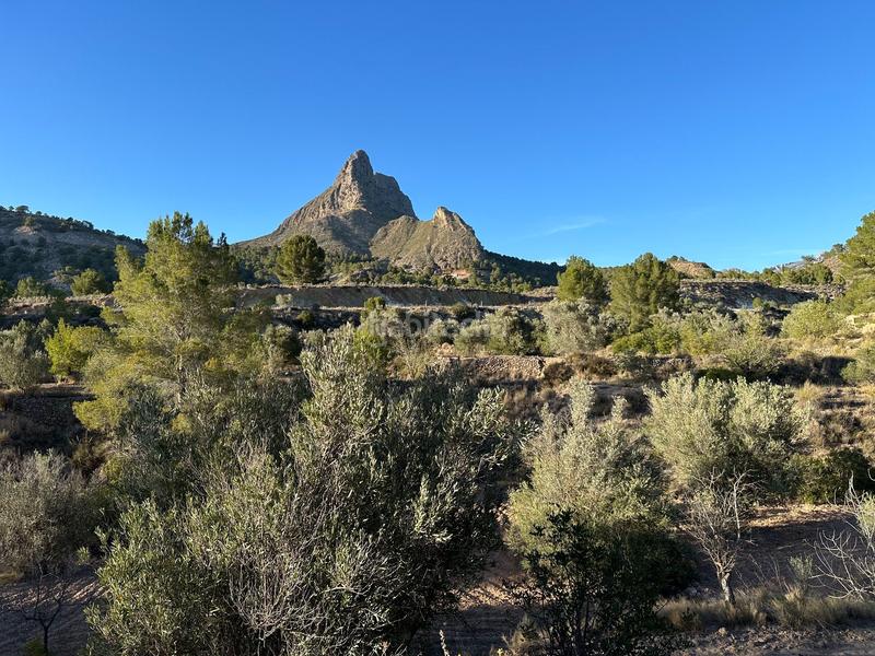 Foto 7ea91ca4-924f-420f-aee5-7ef7cbbd780a. Finca rústica a cremats a Finestrat pueblo Finestrat