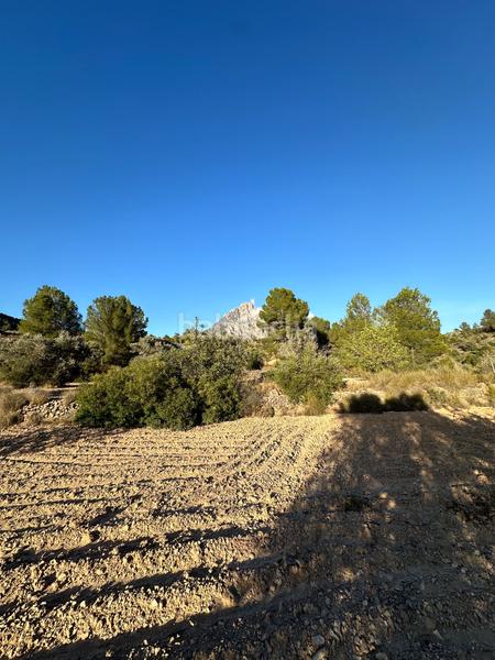 Foto 7f0ad1d2-164c-4666-859a-df5a59c45c0f. Finca rústica a cremats a Finestrat pueblo Finestrat