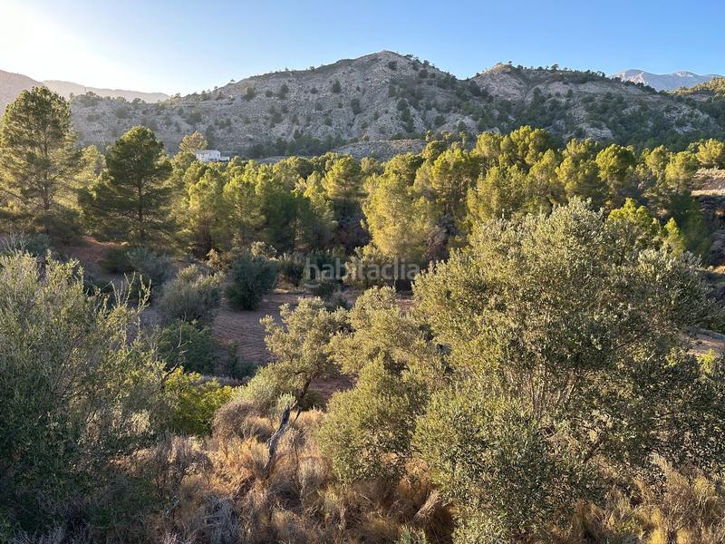 Foto a17a0ea1-ea77-4b2d-8bbb-561f78e25468. Finca rústica a cremats a Finestrat pueblo Finestrat