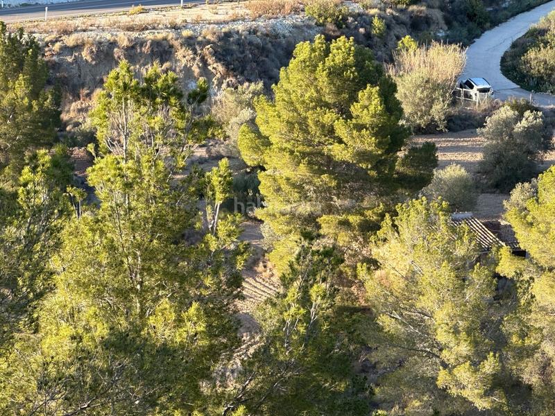 Foto b0bf2fe3-d08f-4b16-9cda-85a22d4ff979. Finca rústica a cremats a Finestrat pueblo Finestrat