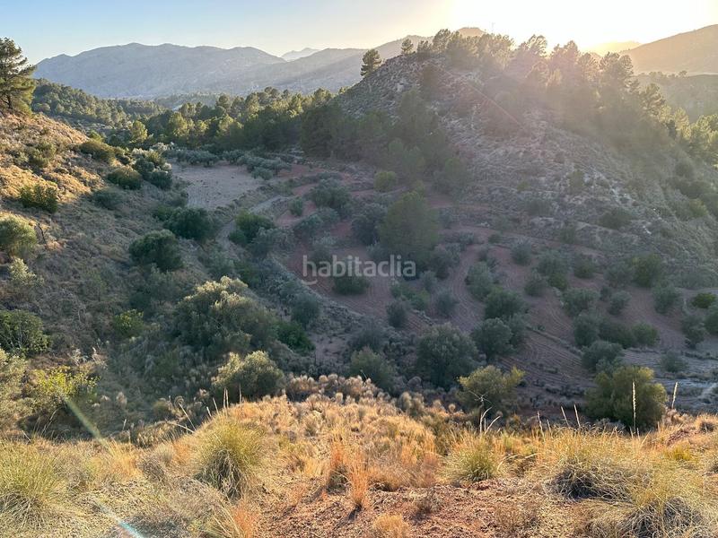 Foto bdae9815-0a34-442f-8f39-f4e2a90c6eb7. Finca rústica a cremats a Finestrat pueblo Finestrat