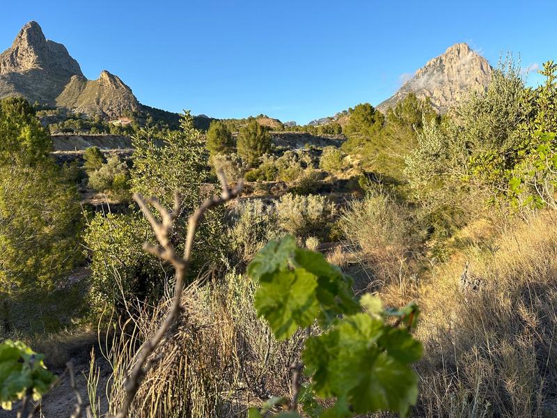 Foto cd8da6d4-22ba-4e56-abde-dd985f6446d3. Finca rústica a cremats a Finestrat pueblo Finestrat