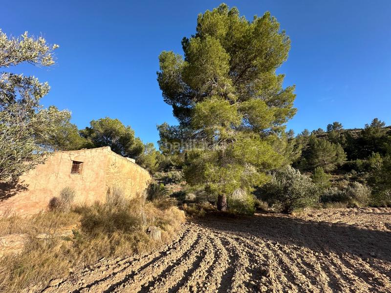 Foto d4a2c912-b642-4c4c-82e1-b8a7c40ffe26. Finca rústica a cremats a Finestrat pueblo Finestrat