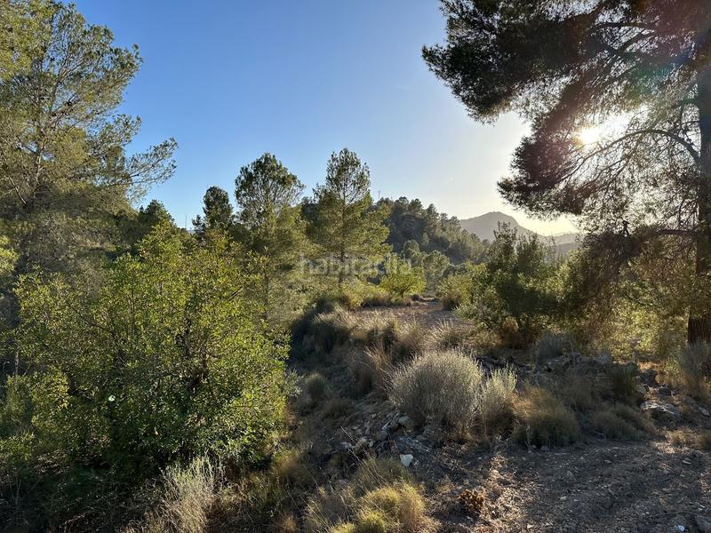 Foto deeccd58-2be9-4ed5-877c-df316378eff9. Finca rústica a cremats a Finestrat pueblo Finestrat