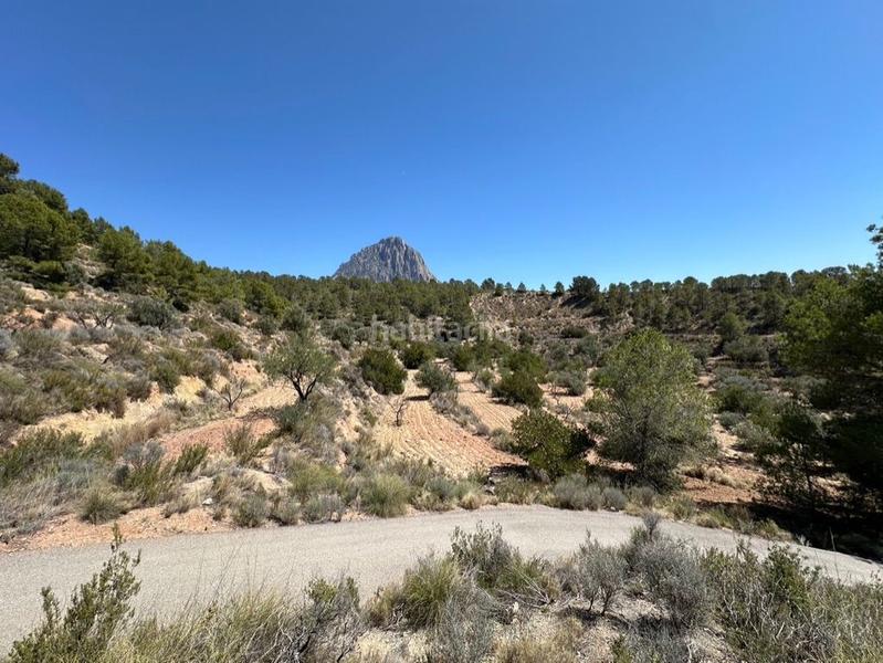 Foto 711e0e8b-95a4-4c98-ba00-9361f7c16791. Finca rústica a la sima a Orxeta