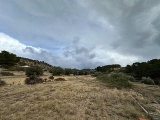 Rural plot in Foies de baix. Finca rústica en venta de más de 10.000 m. junto a la pasarela d