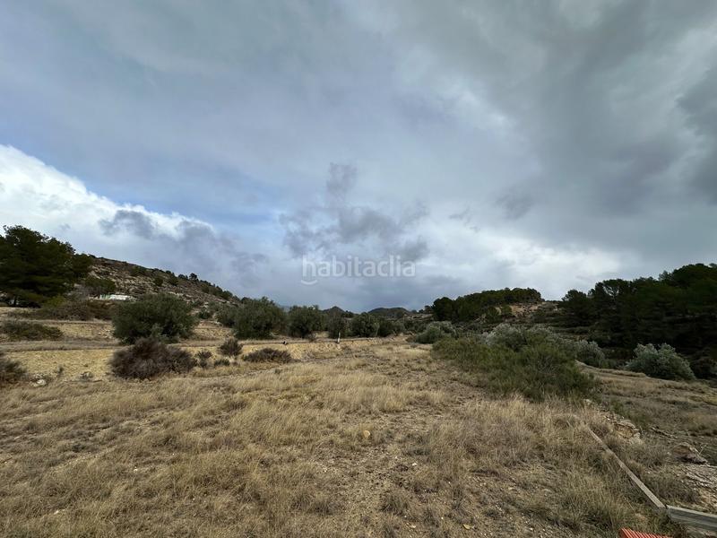 Foto 6b93975a-f81f-4aa9-b604-df62c996f162. Finca rústica a foies de baix a Relleu