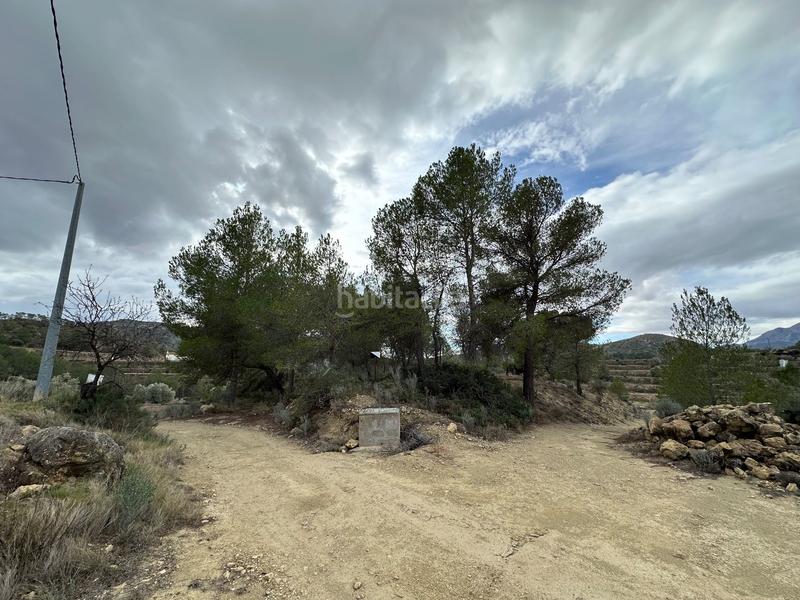 Foto b7969a13-9229-45f8-a805-b16116f3f913. Finca rústica a foies de baix a Relleu