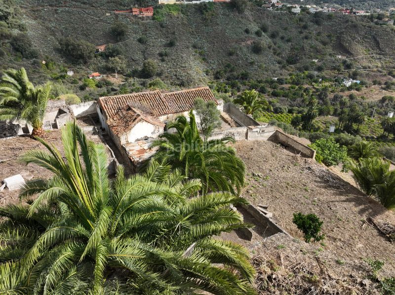 Foto 573ec45b-a551-4627-bd56-6e8d6da980a1. Finca rústica a lugar las casas 20 a Portada Verde - Lomo Espino - Guanche Santa Brígida