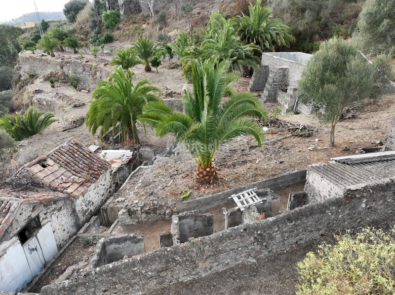 Foto 5794bf3a-144c-4063-b00a-aa4c619aa8ca. Finca rústica a lugar las casas 20 a Portada Verde - Lomo Espino - Guanche Santa Brígida