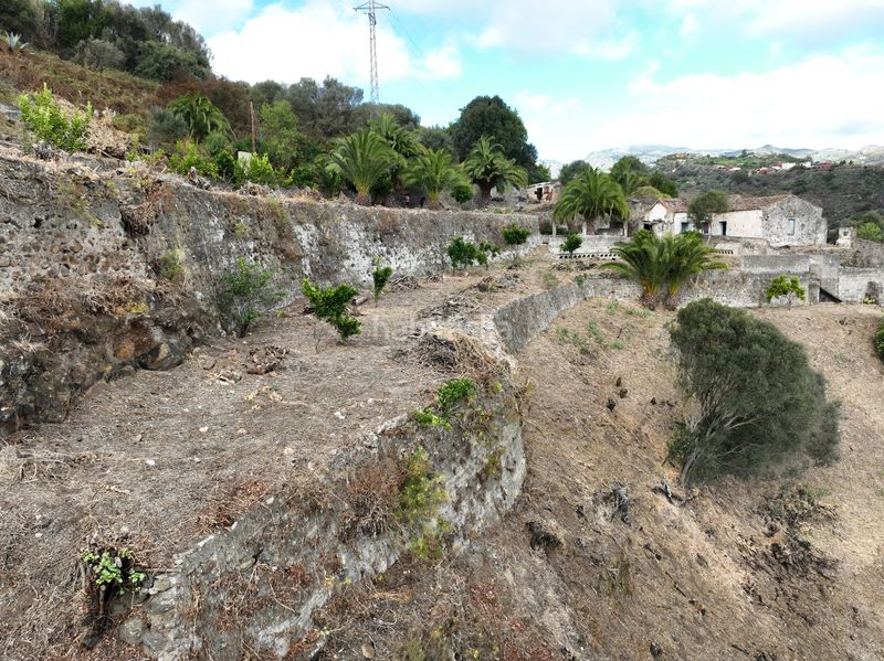 Foto 8e95312c-0af8-4eee-adc2-7ea267a467ec. Finca rústica a lugar las casas 20 a Portada Verde - Lomo Espino - Guanche Santa Brígida