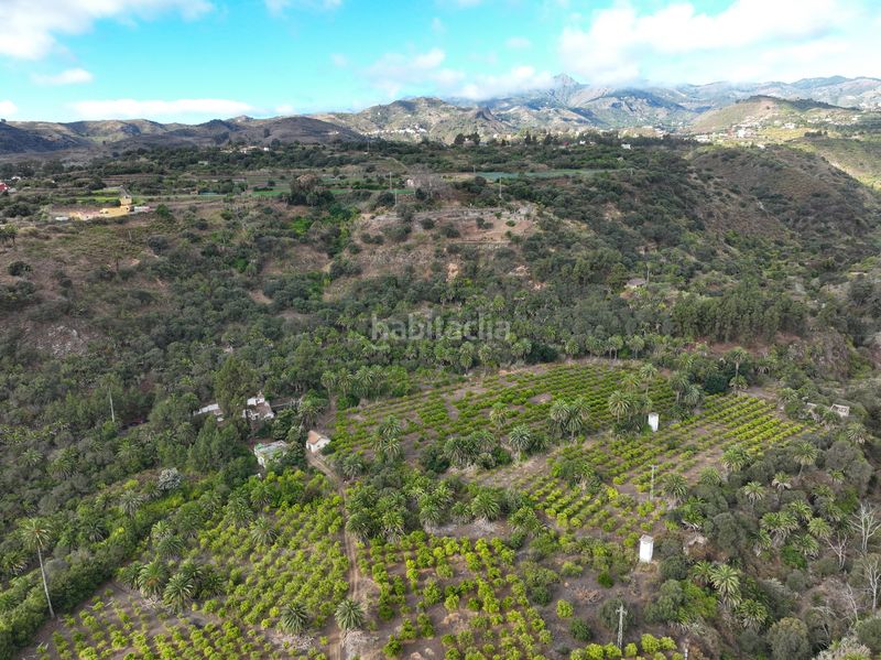 Foto bd97c45f-2070-4d18-9f33-74e09eab3149. Finca rústica a lugar las casas 20 a Portada Verde - Lomo Espino - Guanche Santa Brígida