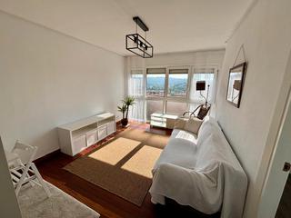 Apartament  Telletxe kalea. Apartamento de 1 habitacion con ascensor cota 0, terraza y preci