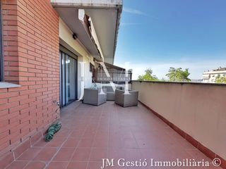 Pis a Les Arenes - La Grípia - Can Montllor