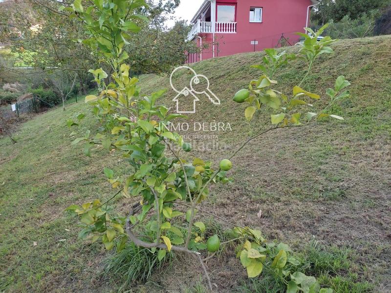 Foto 3c234cde-9f11-43ac-976c-c7f7b15859bf. Finca rústica parcela edificable . en Soto del Barco