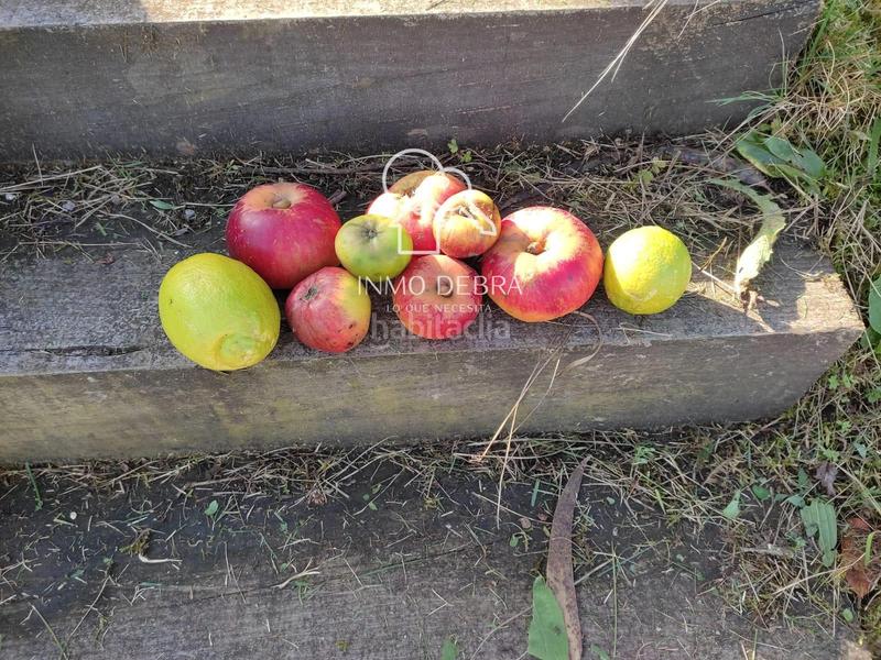 Foto aa85c352-6c1e-4f68-99eb-1f91ed00b574. Finca rústica parcela edificable . en Soto del Barco