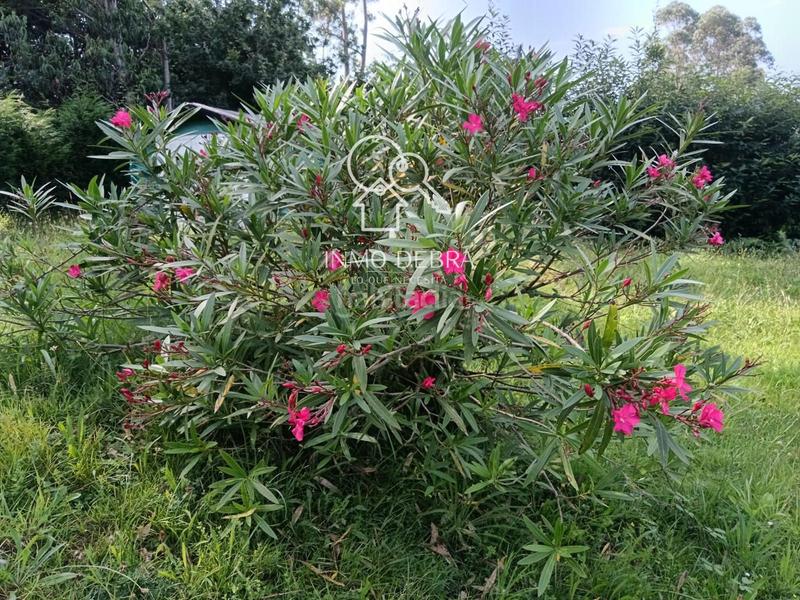 Foto bbdcca76-083f-4f67-bb26-25fc7433a19c. Finca rústica parcela edificable . en Soto del Barco