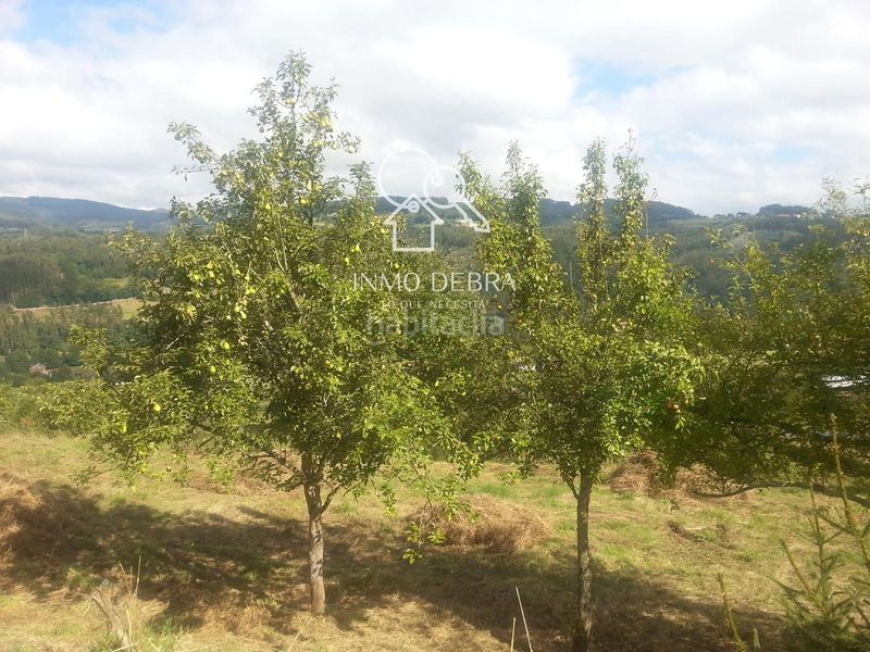 Foto fe9f0274-b3ba-4fe6-b7d6-a8b83f319081. Casa a Pravia