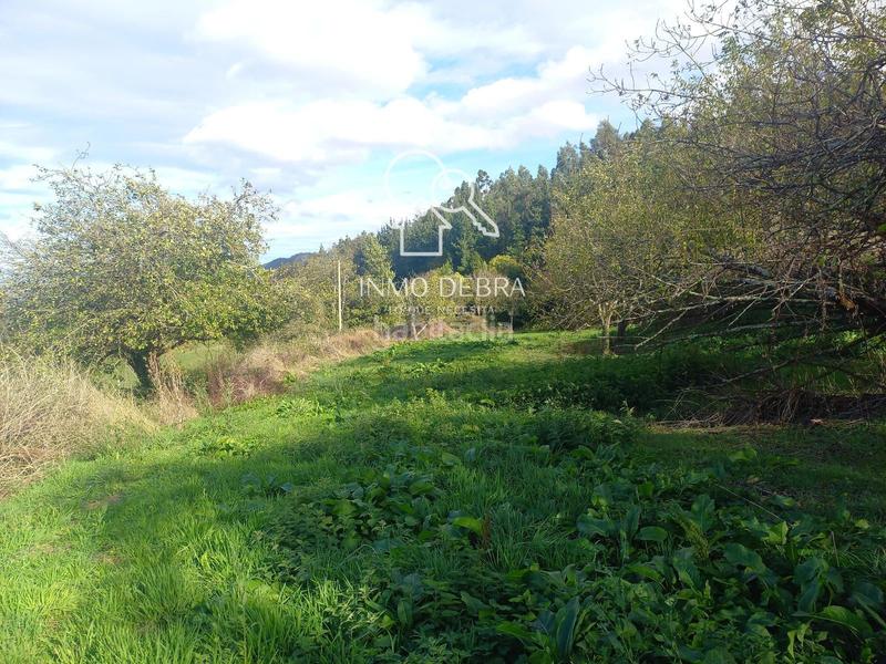 Foto 0b16424f-b423-4b42-830a-e50ecf4b35cd. Casa en Pravia