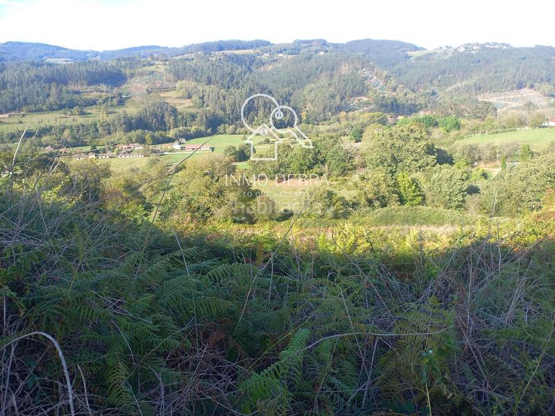 Foto ef06e6b6-8ee7-41f0-b788-5cb0938503bc. Casa en Pravia