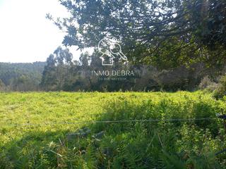 Terreny residencial  N/a. En ranon