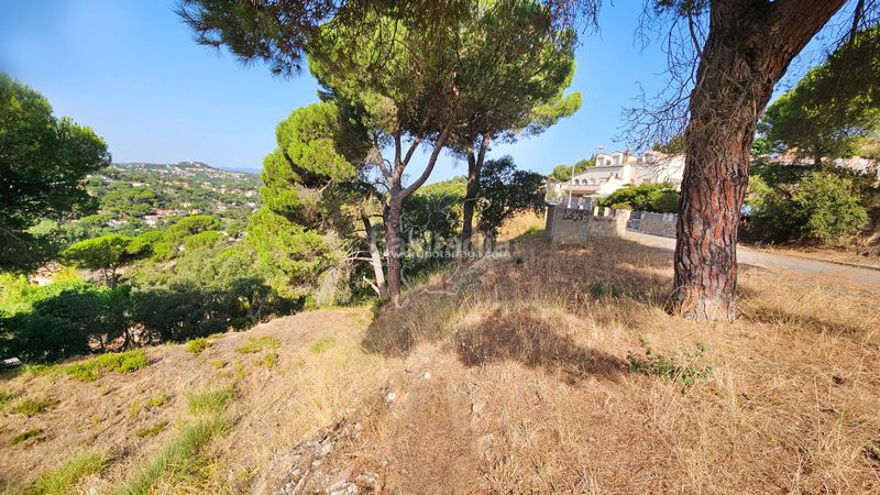 Foto 648d8c82-f4f9-4aed-913e-1b3e52246fba. Terreno residencial en carrer estels 12 gt_257 espectacular parcela en lloret residencial en Lloret de Mar