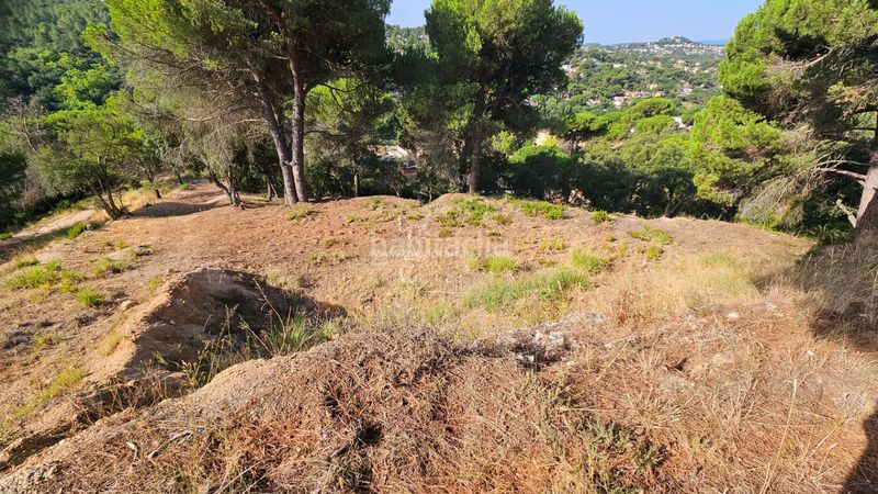 Foto b0fcaafb-0c4c-4e80-b047-b3a3cc322761. Terreno residencial en carrer estels 12 gt_257 espectacular parcela en lloret residencial en Lloret de Mar