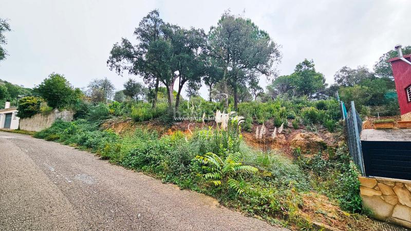 Foto 10fc49ef-2ff8-4b68-a294-6d15f13dece5. Terreno residencial gt_218 espectacular terreno en lloret residencial en Lloret de Mar
