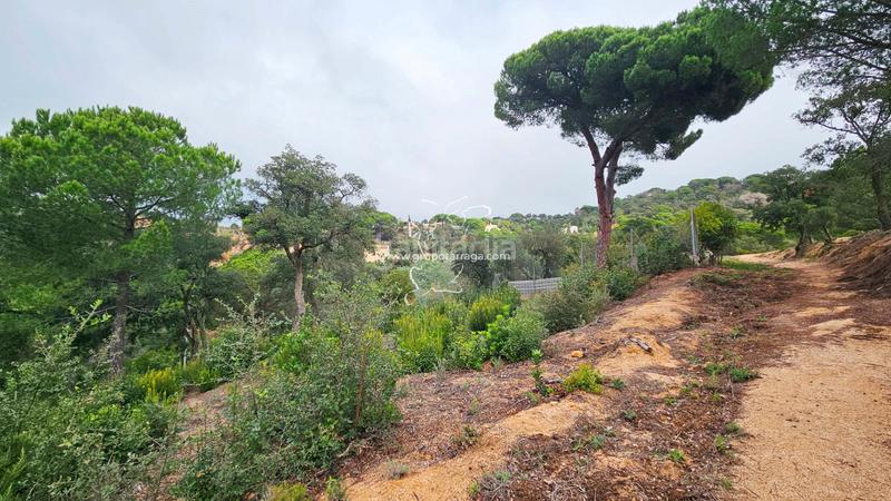 Foto 46e53f93-6325-4d84-bba7-82ad537b6344. Terreno residencial gt_218 espectacular terreno en lloret residencial en Lloret de Mar
