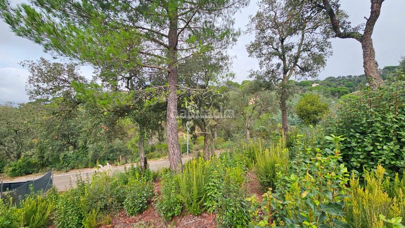 Foto 9c9e096c-e087-4fac-9e82-3cd30adb0f36. Terreno residencial gt_218 espectacular terreno en lloret residencial en Lloret de Mar