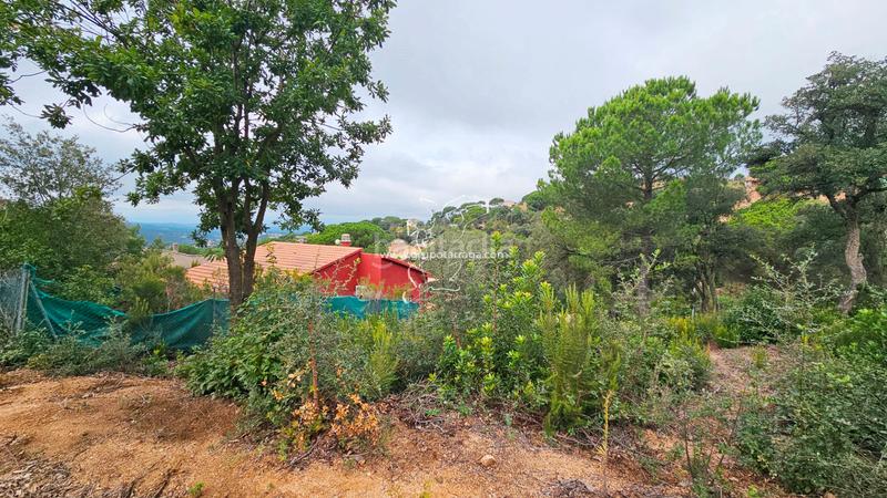 Foto e616c046-c018-494c-bb8c-467480a339cc. Terreno residencial gt_218 espectacular terreno en lloret residencial en Lloret de Mar