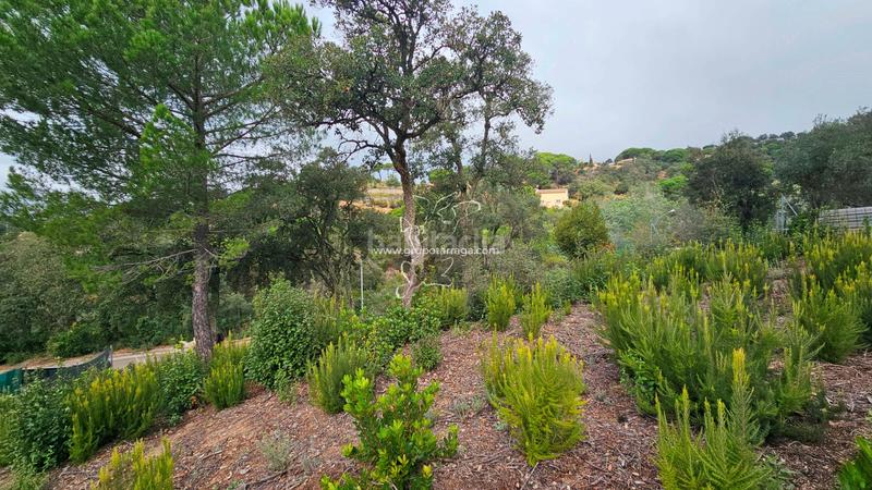 Foto e7660391-db7f-4e53-8a32-4d93cf0f3cc7. Terreno residencial gt_218 espectacular terreno en lloret residencial en Lloret de Mar