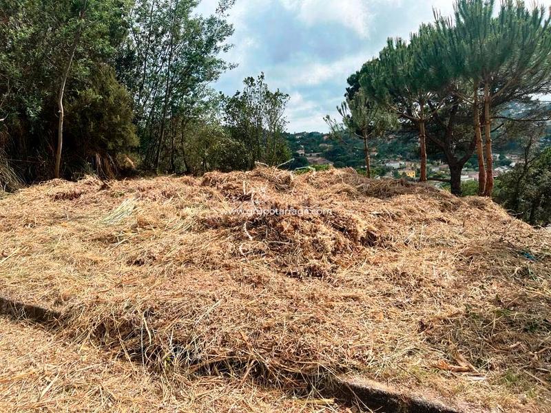 Foto 5eb907da-8b5d-4122-9f34-65521e6993b6. Residential plot in avinguda de la senyera 14 in Lloret Residencial - Montlloret Lloret de Mar