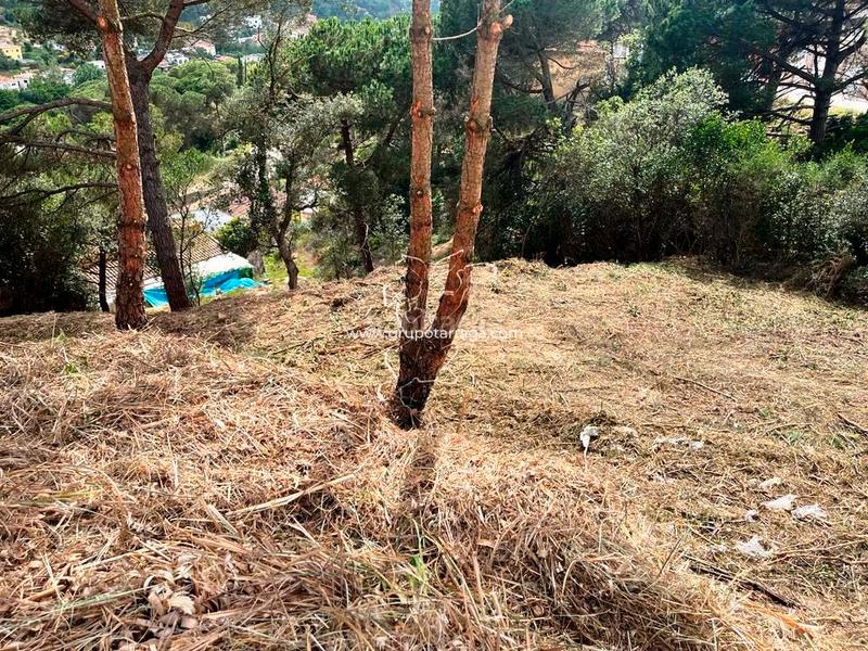Foto 6e74fd81-3234-4c21-b6cc-c58ccfc0525c. Residential plot in avinguda de la senyera 14 in Lloret Residencial - Montlloret Lloret de Mar
