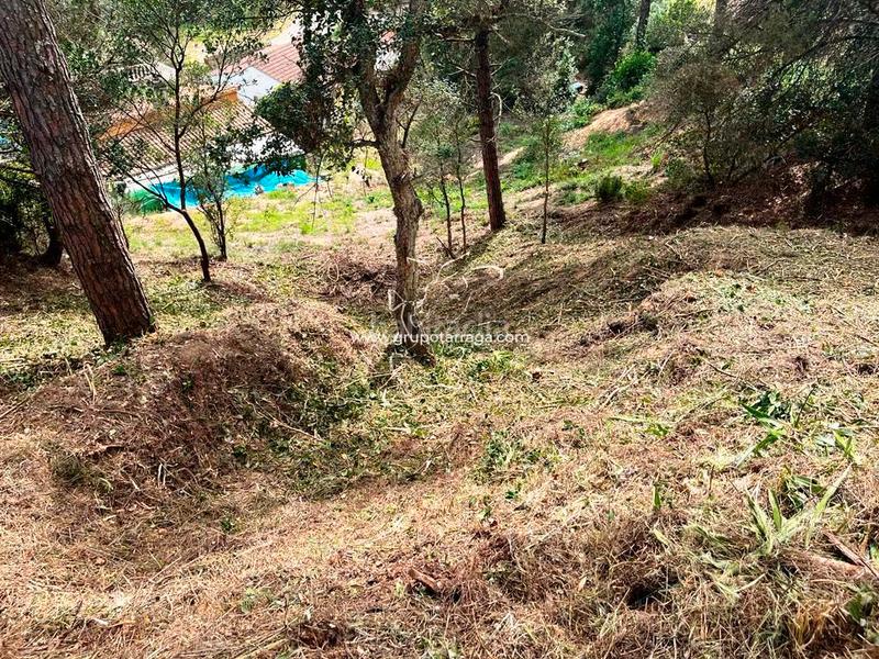 Foto a31947a9-3060-4eaa-a2b9-c826f6cc2a2e. Residential plot in avinguda de la senyera 14 in Lloret Residencial - Montlloret Lloret de Mar