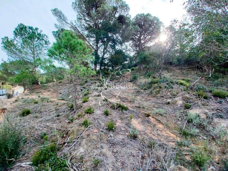 Foto 14ced8aa-bc5e-4d69-a9d9-5c3ce665dcac. Terreno residenziale in avinguda mil·lenni 70 in Lloret Residencial - Montlloret Lloret de Mar