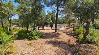 Terreny residencial a Carrer Nicaragua 70