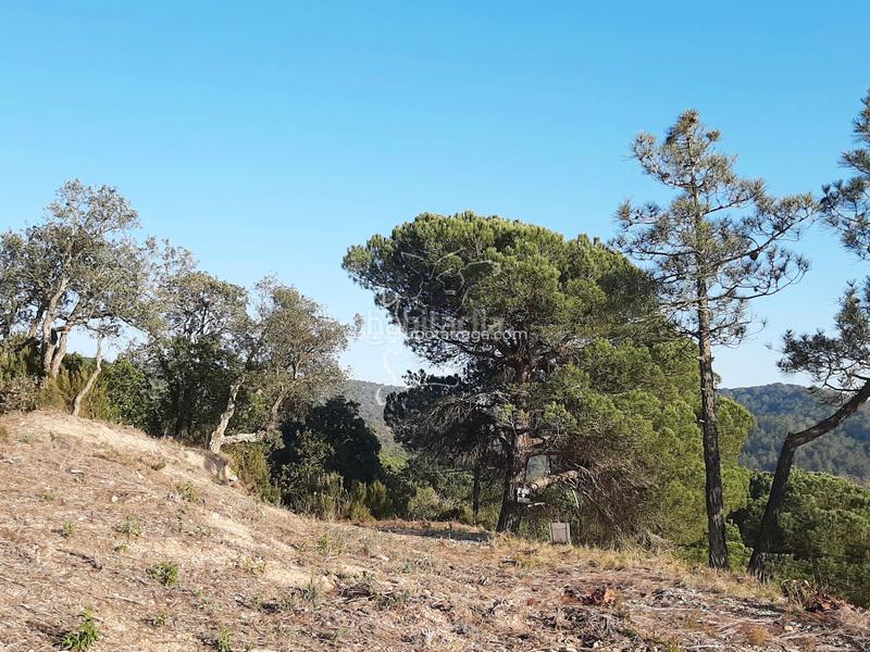 Foto 0001a47d-b217-488e-9383-d1bebeba777f. Wohngrundstück in avinguda de la senyera 29 in Lloret Residencial - Montlloret Lloret de Mar