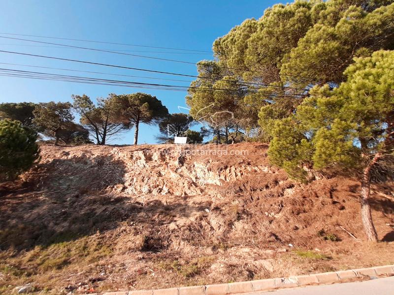 Foto 366d3635-2666-4315-8d34-796506efaaa5. Wohngrundstück in avinguda de la senyera 29 in Lloret Residencial - Montlloret Lloret de Mar