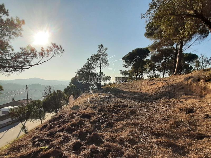 Foto 401fdf9e-66bc-4d9b-b285-5336dcd52427. Wohngrundstück in avinguda de la senyera 29 in Lloret Residencial - Montlloret Lloret de Mar