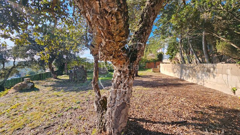 Foto d9f0ecb0-7c90-4fd7-98a1-1e698975ad84. Terreno residenziale in Aiguaviva Parc Vidreres