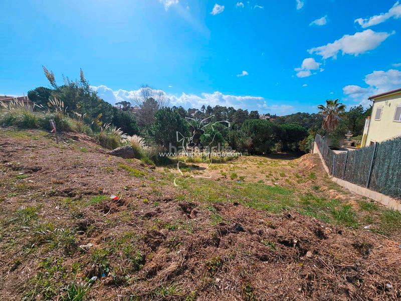 Foto 1015a7f1-acad-4ad6-9595-cf7d40c2b8fb. Terreno residenziale in avinguda rafael albertí 80 in Lloret de Mar