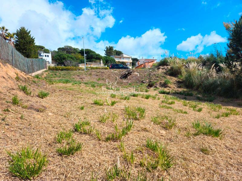 Foto 4cbd73b5-cd00-4ffc-ad01-3530f52c8803. Terreno residenziale in avinguda rafael albertí 80 in Lloret de Mar