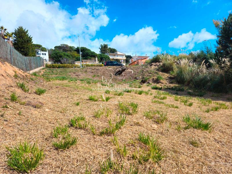 Foto 9eb8735b-95d1-43bc-9d41-98a72116ac05. Terreno residenziale in avinguda rafael albertí 80 in Lloret de Mar