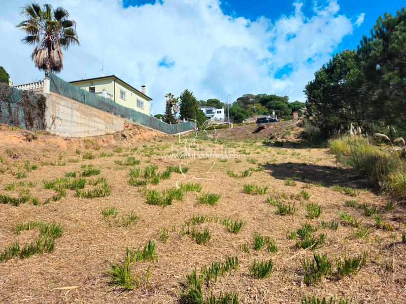 Foto bfa9f4fc-b39e-4da1-a58b-5bc396a9ea52. Terreno residenziale in avinguda rafael albertí 80 in Lloret de Mar