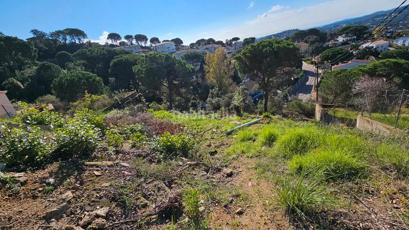 Foto 8d602007-c110-4c41-b61a-223101625e2b. Terreno residencial en carrer pollancre 94 gt_227 parcela en urb. Aiguaviva Parc en Vidreres